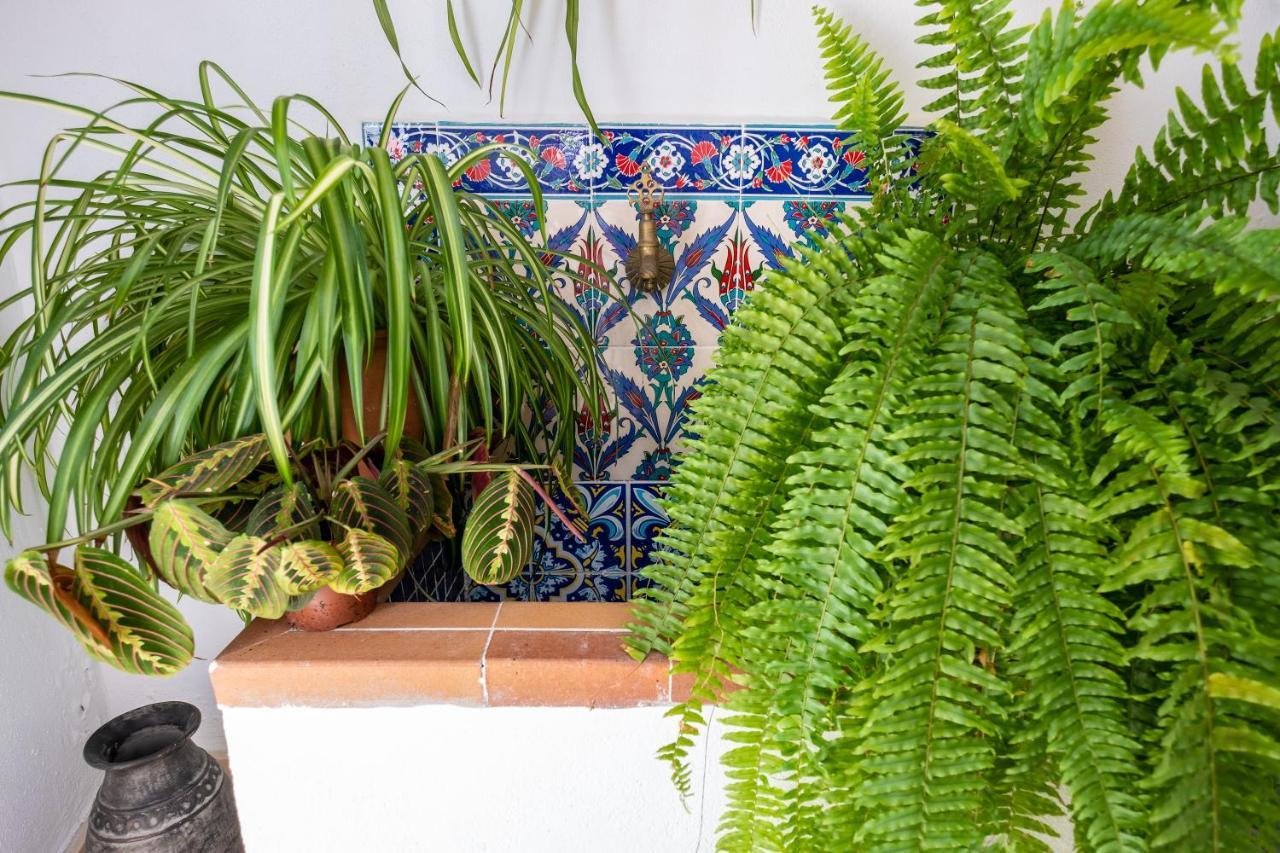 La Casa Del Agua Villa Vejer de la Frontera Eksteriør bilde
